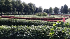 20180525_093253