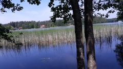 20180526_111441