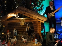 koncert Rodziny Cudzichów (12)