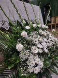 08CF299C-BB3D-4448-835A-F47E64A8B5A5