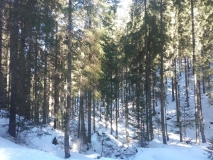 20170216_131537