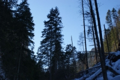 DSC02865